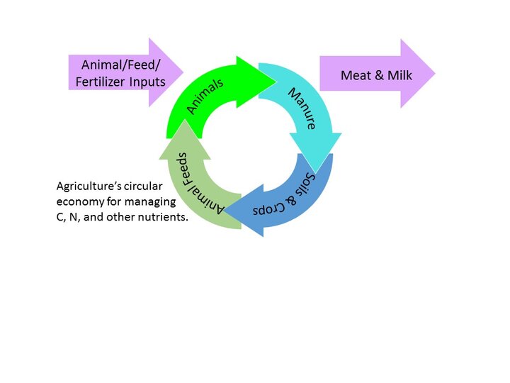 Visual illustrating agricultureâs circular economy for managing C, N, and other nutrients.