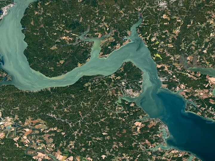 Chesapeake Bay experiences summer algae bloom connected with excess phosphorus. 