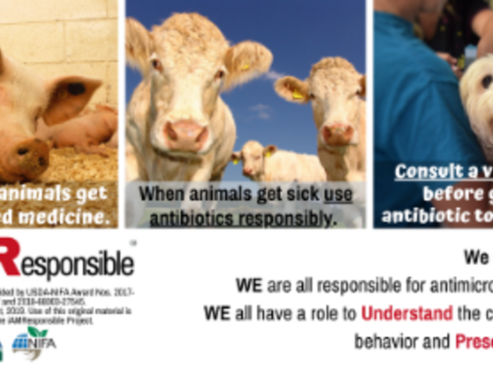 All food animal managers and pet owners have a role to plan in protecting medically important antimicrobial. Follow @i_AMResponsible on Twitter. Developed by: iAMResponsible.