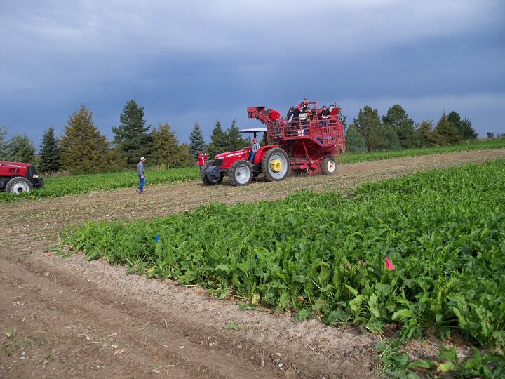 beet harvester used in the research at the UNL Panhandle Research and Extension Center