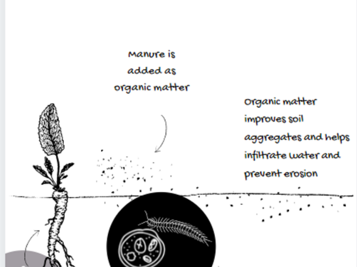 Biological Benefits of Manure Application