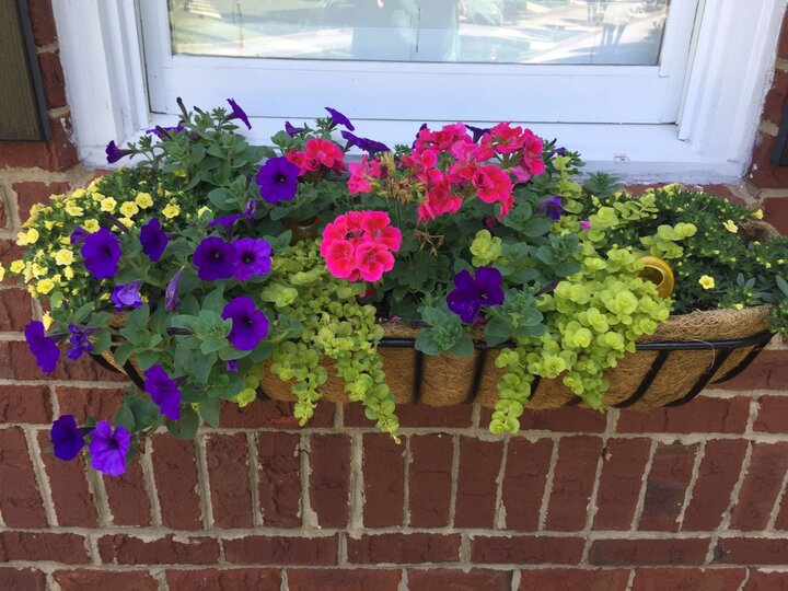 Container Garden