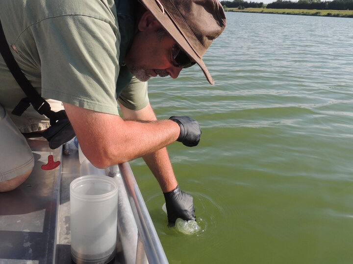 Sampling Lake Water