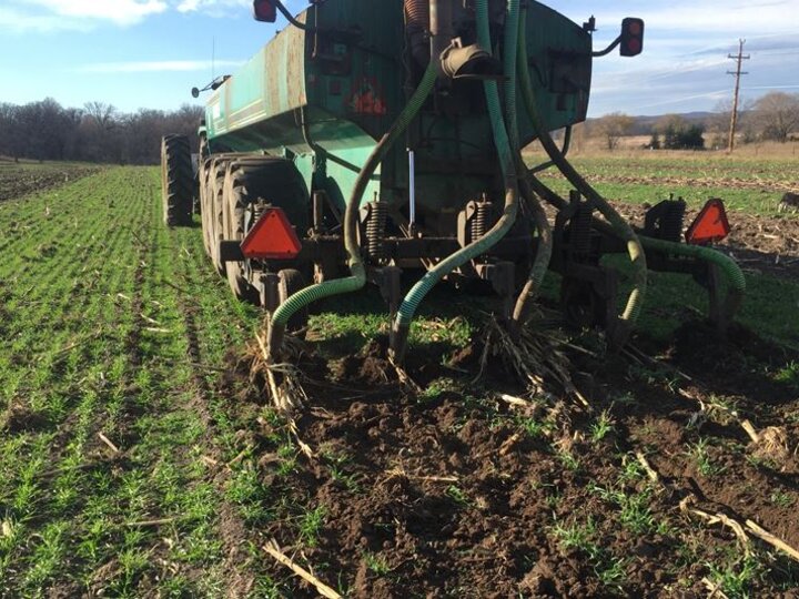 Fall manure injection into cereal rye cover crop