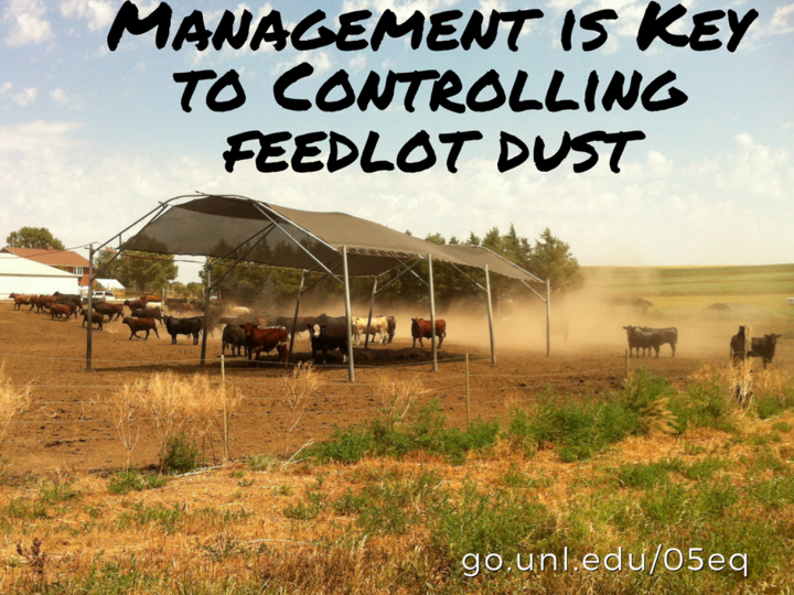 management is key to controlling feedlot dust