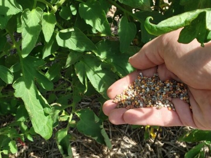 Fertilizer