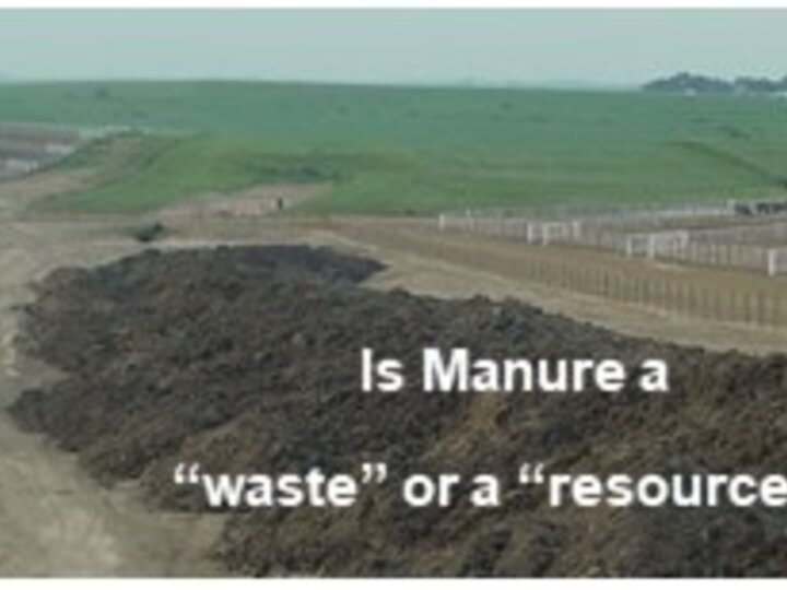 manure pile