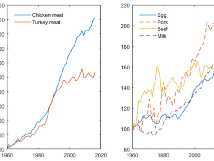 graphs comparing livestock production to 1960 levels