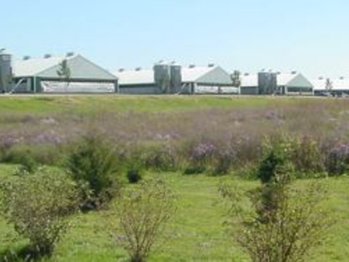 farm in Iowa