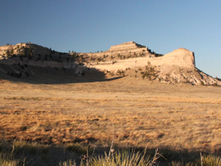 Sunlit geological outcrop with sparse vegetation under a clear blue sky.