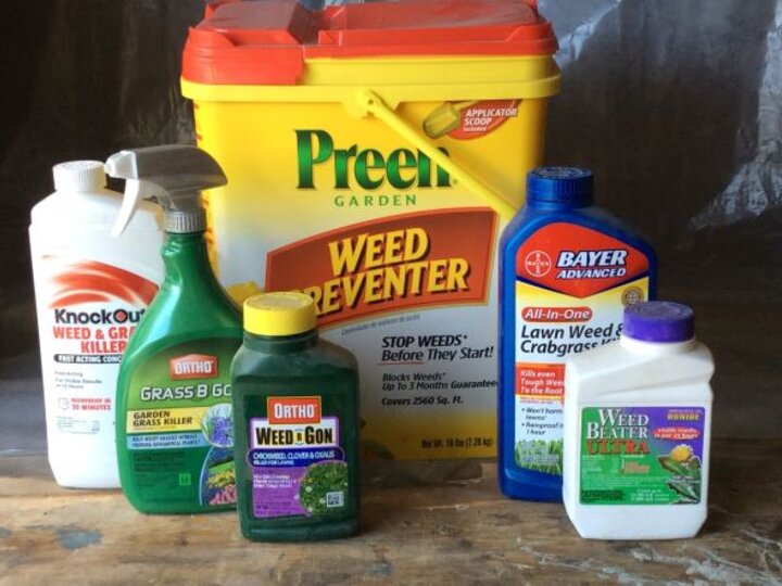 Store liquid and dry pesticides formulations correctly during winter. 