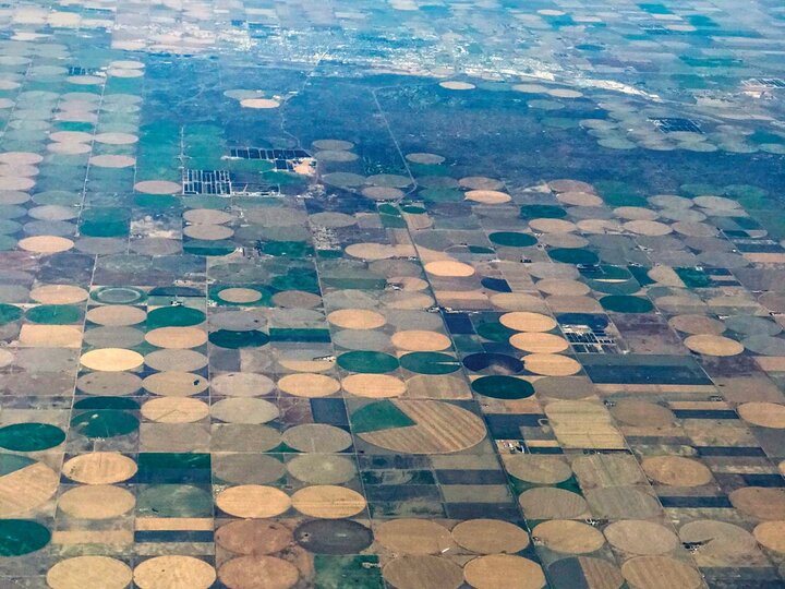 An aerial view of pivot circles