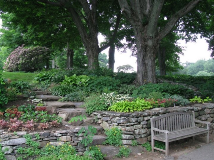 Planting of a landscape that provides shade