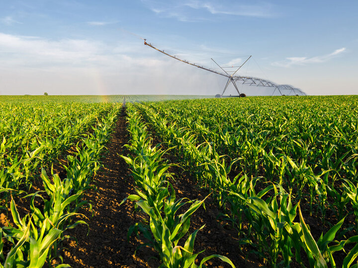 Center pivot irrigating a field.