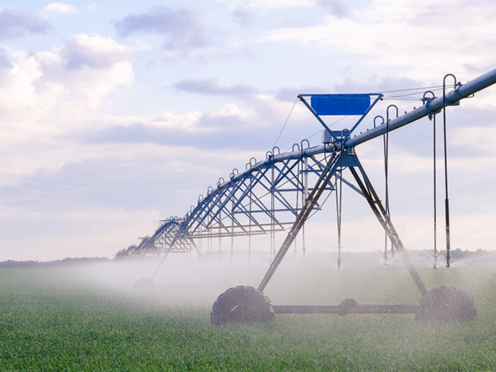 center pivot watering field