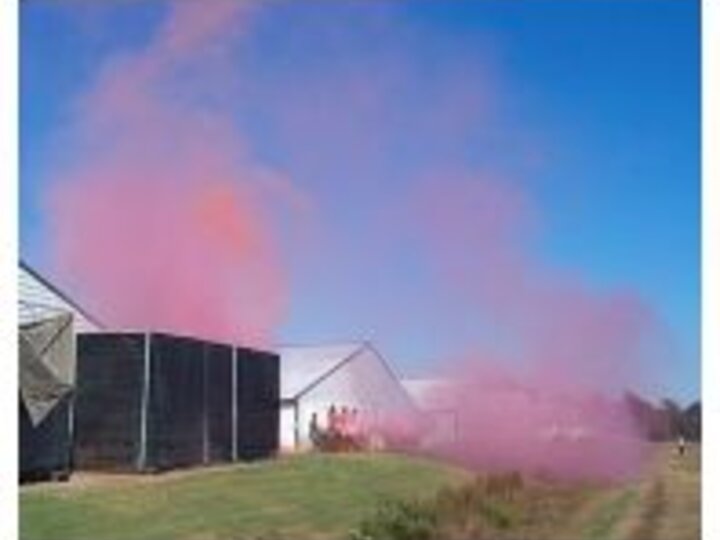 Pink dust cloud