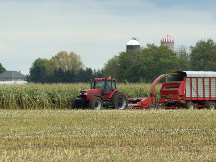 photo of corn silage harvest
