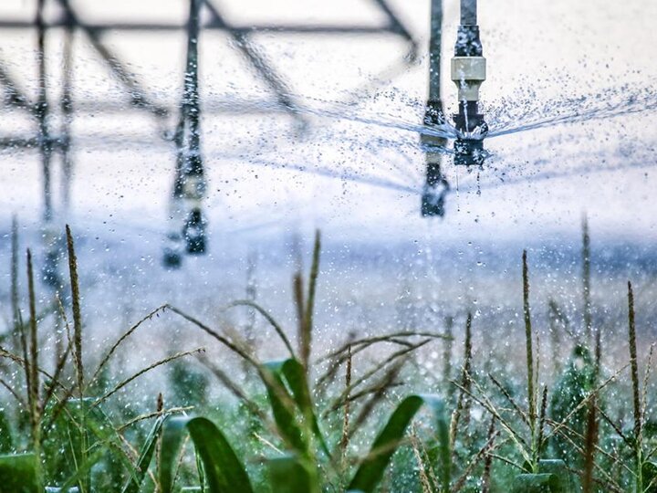 closeup of center pivot watering corn