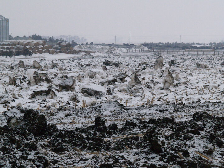 manure application on snow-covered soil, photo credit: Iowa State University