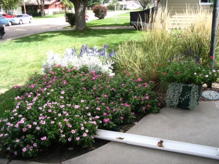 downspout redirection into a flower garden