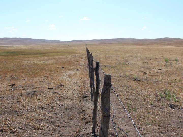 Dry field.