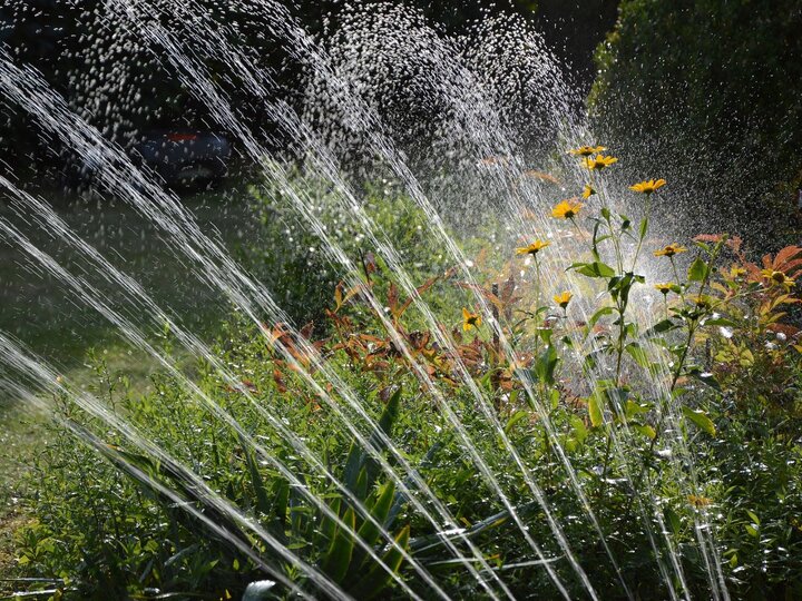 Garden Sprinkler