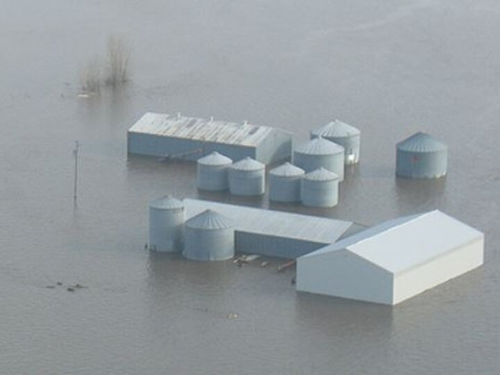 Flood damaged feeds present some unique challenges. Photo courtesy of John Wilson and Lee Valley, Inc.