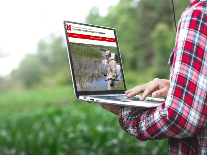 man using laptop