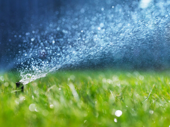 Sprinkler watering a lawn.