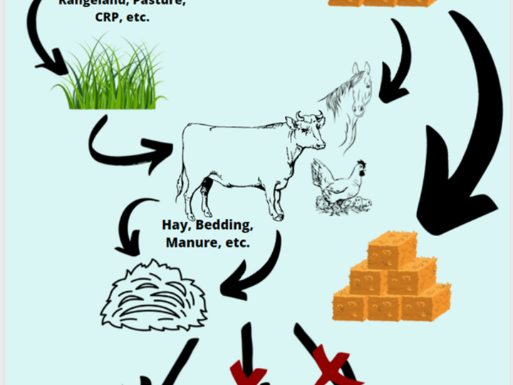 Example graphic from a pesticide label with grazing and composting restrictions.