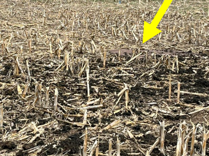 photo of manure on tarp during manure spreader calibration