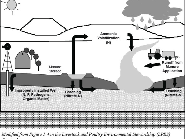 Water pollution pathways diagram