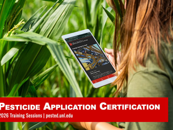 woman inspecting plant for pests