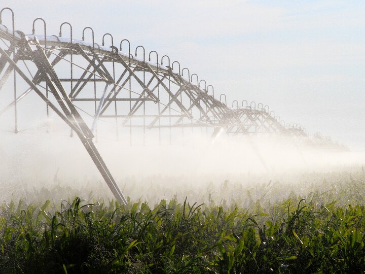 Center pivot irrigating corn