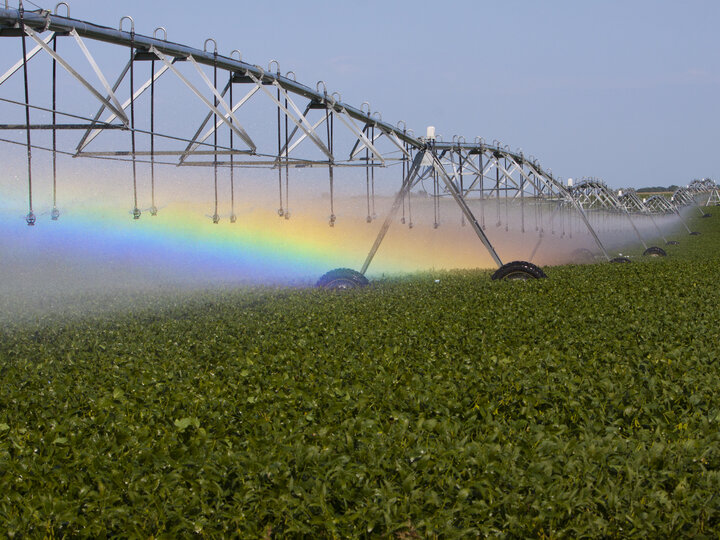 irrigation pivot watering crop field