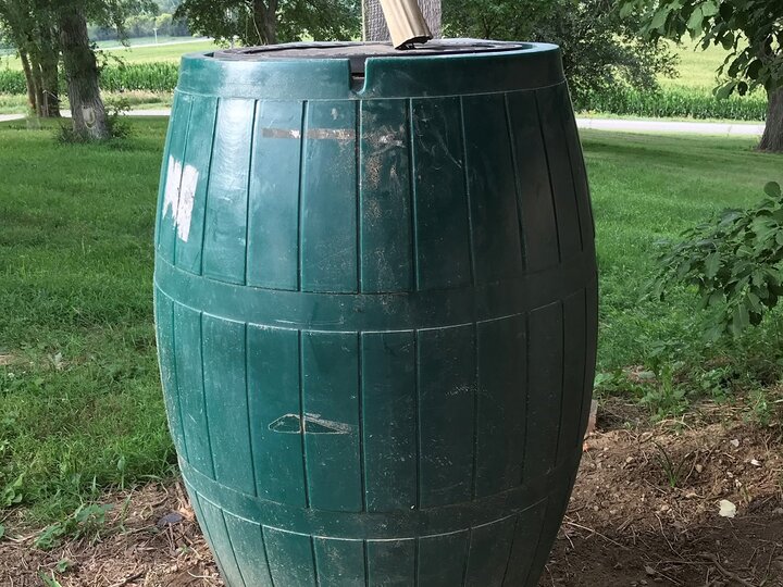 Rain Barrel
