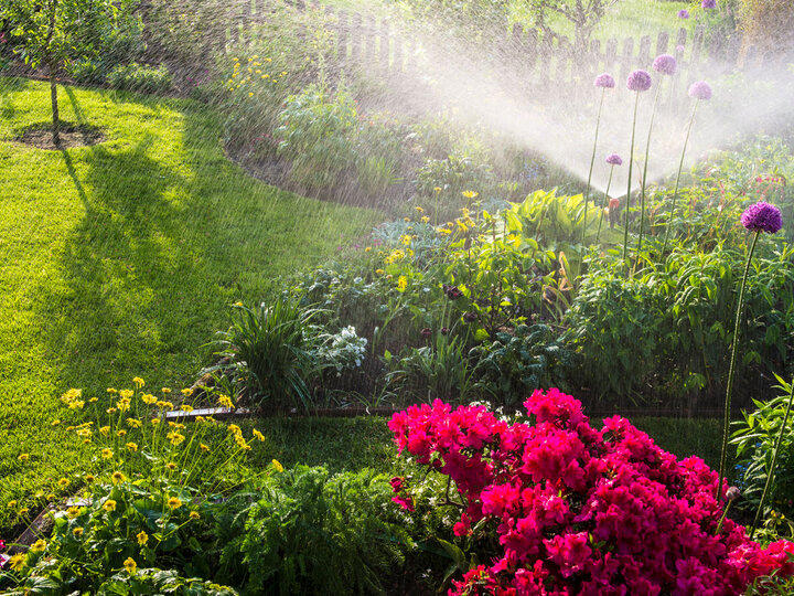 Sprinkler watering a lawn.