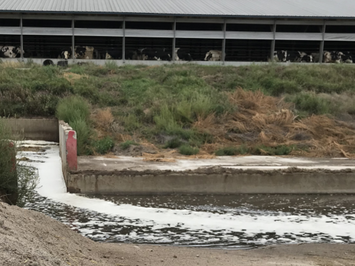 photo of sand lane to recover sand bedding