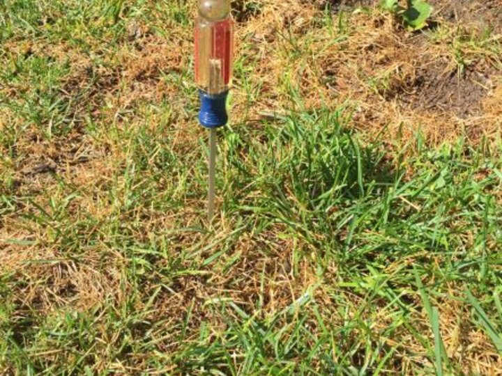 Screwdriver testing moisture content