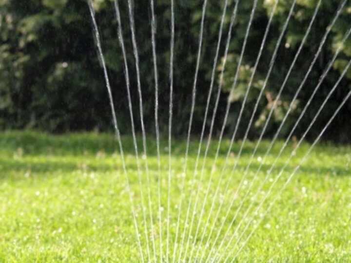 Photo of a Sprinkler in a lawn