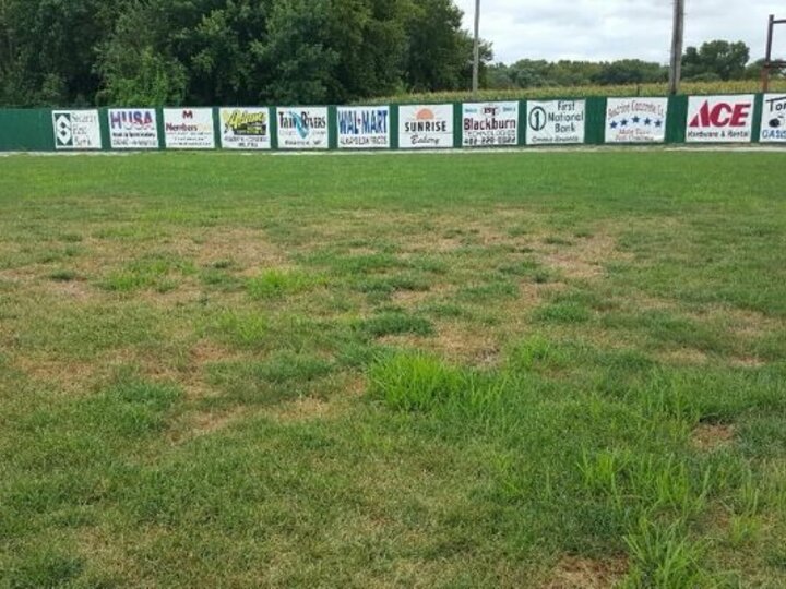 Photo of Summer Patch, Photo from Paul Hay, Extension Educator Emeritus