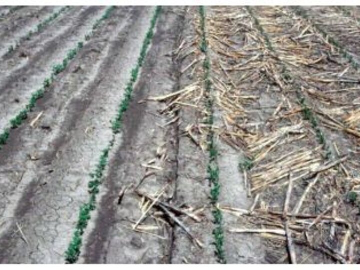 Demonstration of tillage and residue