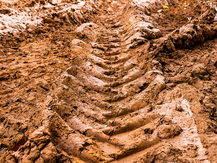 tire tracks in muddy clay soil