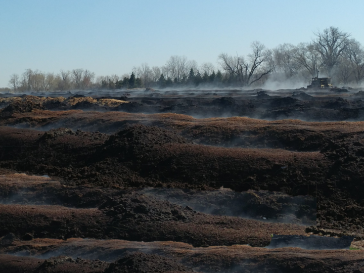 steaming compost rows