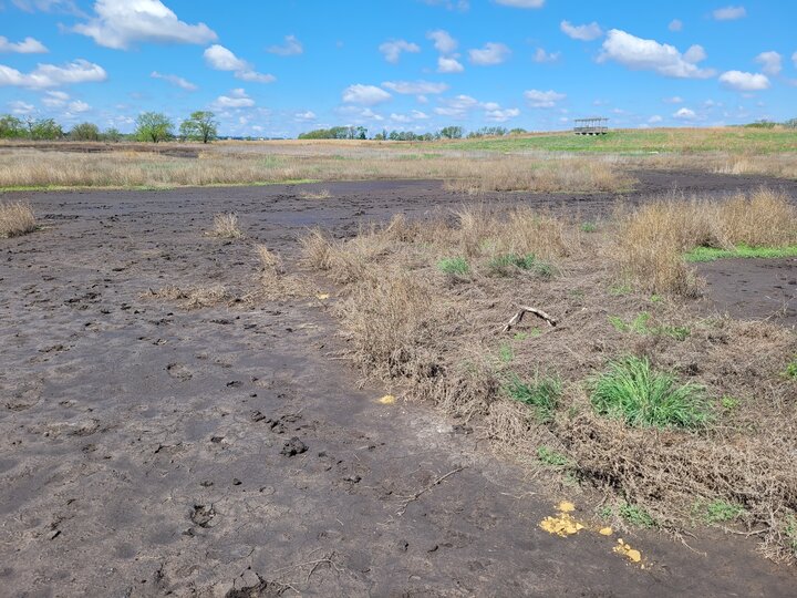 The release site for the SCTB showing the salt flats, the vegetation, and the sky. 