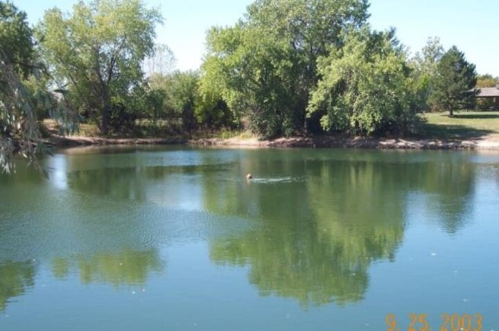 photo of a pond