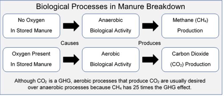 Biological processes in manure break down