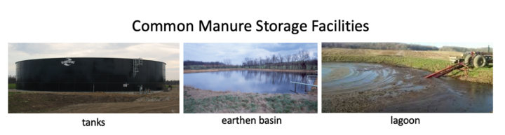 Common manure storage facilities