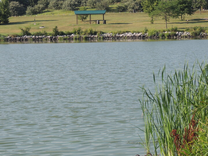 Photo of a lake