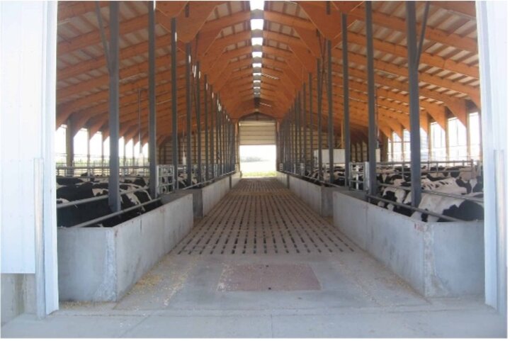 Slotted floor deep pit barn commonly must manage a slurry (8 to 12% solids) manure